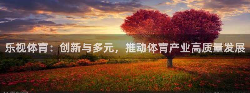 乐视体育：创新与多元，推动体育产业高质量发展