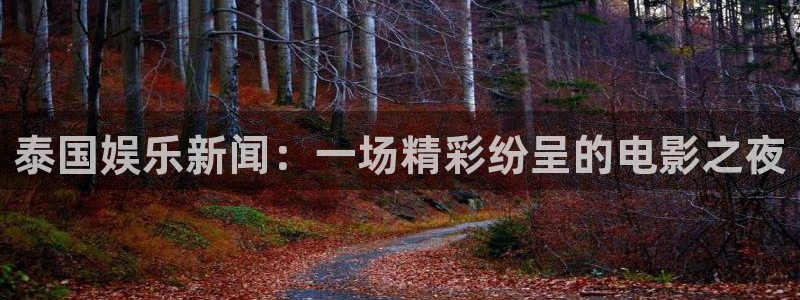 泰国娱乐新闻：一场精彩纷呈的电影之夜