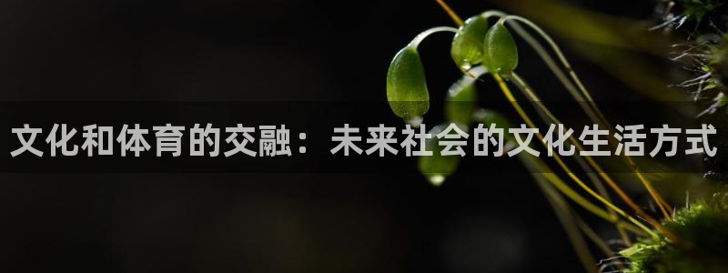 文化和体育的交融：未来社会的文化生活方式