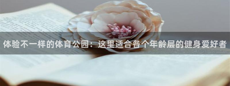 体验不一样的体育公园：这里适合各个年龄层的健身爱好者