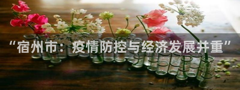 “宿州市：疫情防控与经济发展并重”