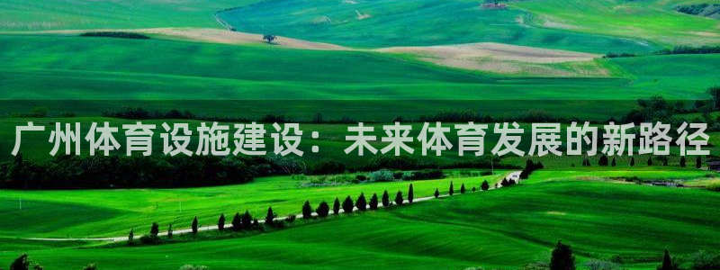 广州体育设施建设：未来体育发展的新路径