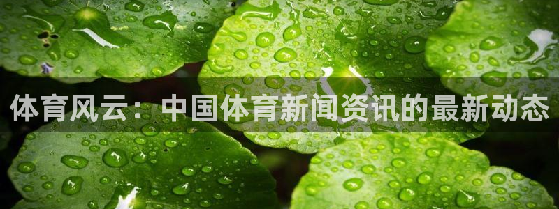 体育风云：中国体育新闻资讯的最新动态