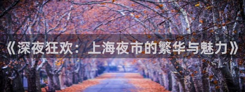 《深夜狂欢：上海夜市的繁华与魅力》
