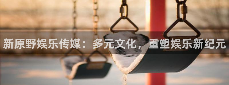 新原野娱乐传媒：多元文化，重塑娱乐新纪元