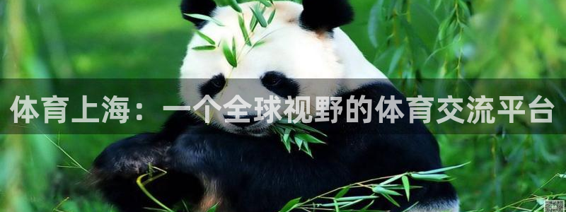 体育上海：一个全球视野的体育交流平台