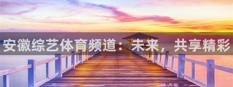 安徽综艺体育频道：未来，共享精彩