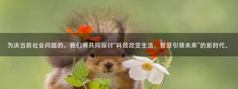 为决当前社会问题的，我们将共同探讨\