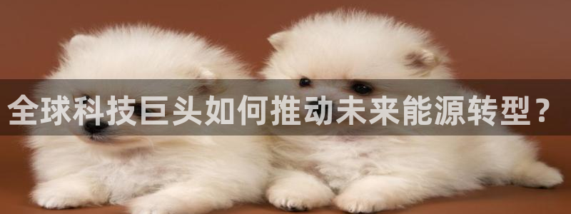 全球科技巨头如何推动未来能源转型？
