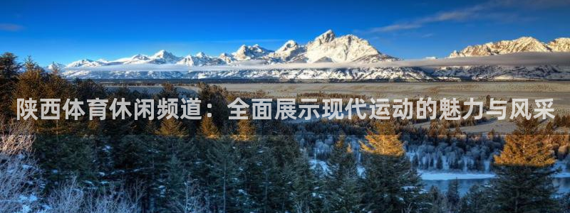 陕西体育休闲频道：全面展示现代运动的魅力与风采