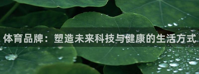 体育品牌：塑造未来科技与健康的生活方式