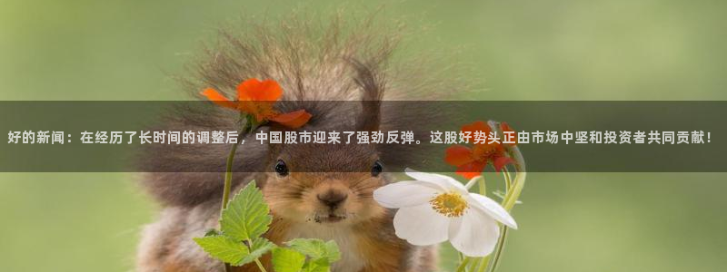 好的新闻：在经历了长时间的调整后，中国股市迎来了强劲反弹。这股好势头正由市场中坚和投资者共同贡献！