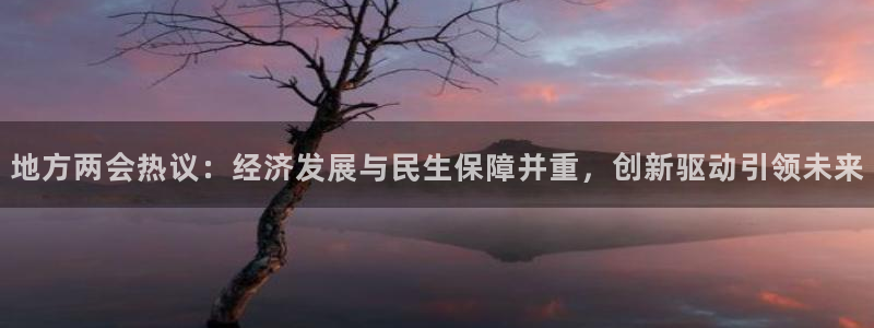 地方两会热议：经济发展与民生保障并重，创新驱动引领未来