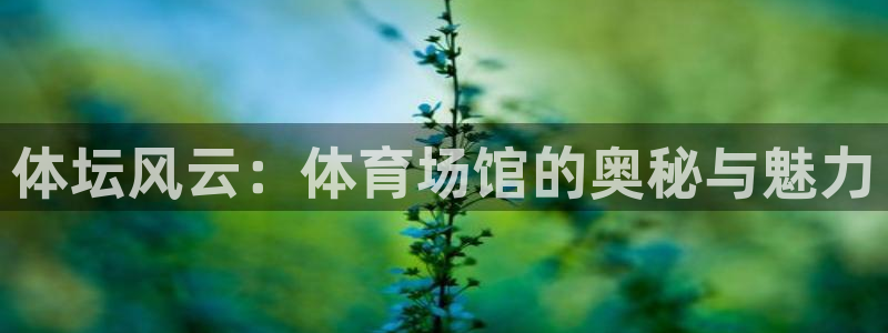 体坛风云：体育场馆的奥秘与魅力