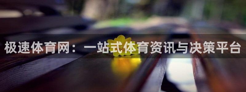 极速体育网：一站式体育资讯与决策平台