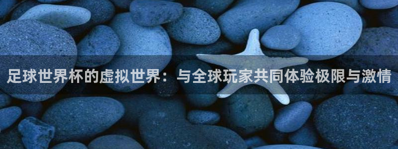 足球世界杯的虚拟世界：与全球玩家共同体验极限与激情