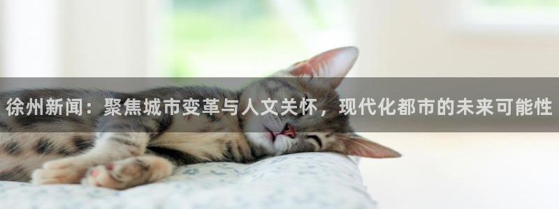 徐州新闻：聚焦城市变革与人文关怀，现代化都市的未来可能性