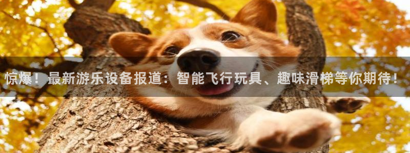 惊爆！最新游乐设备报道：智能飞行玩具、趣味滑梯等你期待！