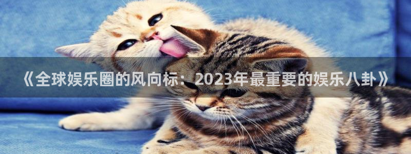 《全球娱乐圈的风向标：2023年最重要的娱乐八卦》