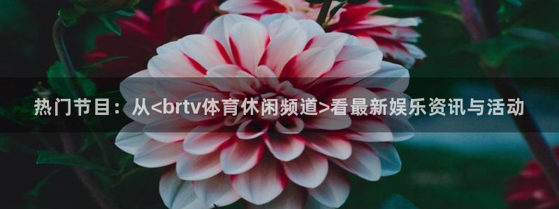 热门节目：从<brtv体育休闲频道>看最新娱乐资讯与活动