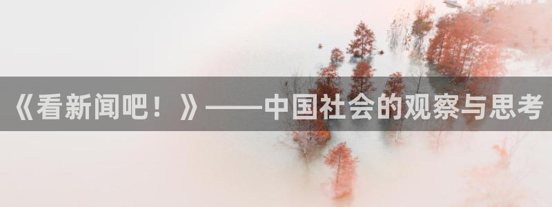 《看新闻吧！》——中国社会的观察与思考