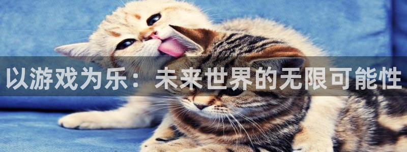 以游戏为乐：未来世界的无限可能性