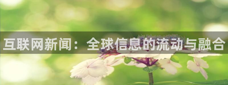 互联网新闻：全球信息的流动与融合