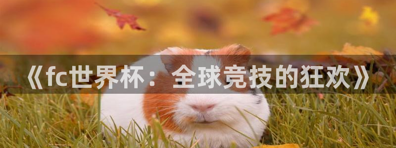 《fc世界杯：全球竞技的狂欢》