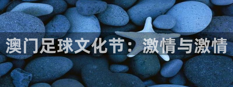 澳门足球文化节：激情与激情