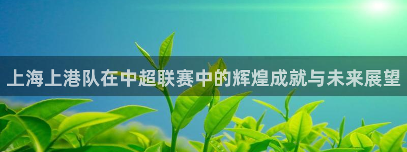 上海上港队在中超联赛中的辉煌成就与未来展望