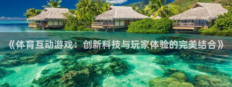 《体育互动游戏：创新科技与玩家体验的完美结合》