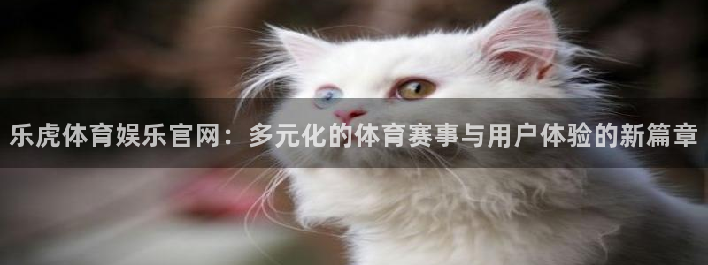 乐虎体育娱乐官网：多元化的体育赛事与用户体验的新篇章