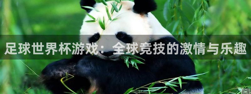 足球世界杯游戏：全球竞技的激情与乐趣