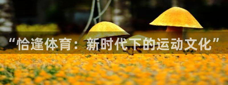 “恰逢体育：新时代下的运动文化”