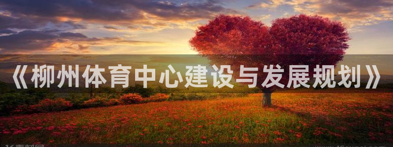 《柳州体育中心建设与发展规划》