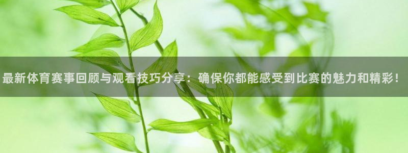 最新体育赛事回顾与观看技巧分享：确保你都能感受到比赛的魅力和精彩！