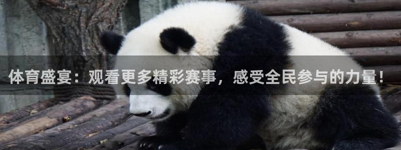 体育盛宴：观看更多精彩赛事，感受全民参与的力量！