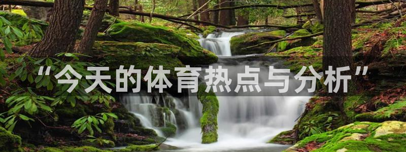 “今天的体育热点与分析”