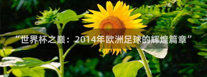 “世界杯之巅：2014年欧洲足球的辉煌篇章”