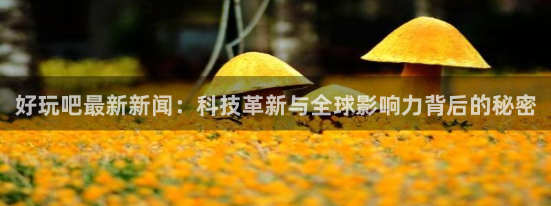 好玩吧最新新闻：科技革新与全球影响力背后的秘密