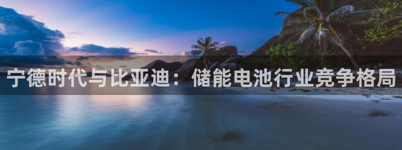 宁德时代与比亚迪：储能电池行业竞争格局
