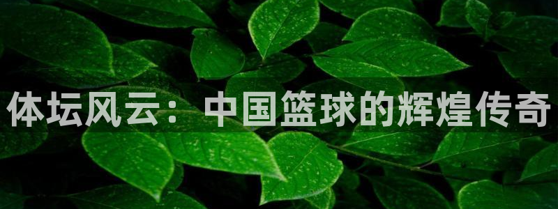体坛风云：中国篮球的辉煌传奇