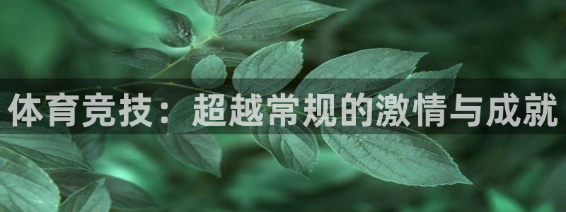 体育竞技：超越常规的激情与成就
