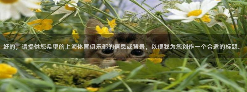 好的，请提供您希望的上海体育俱乐部的信息或背景，以便我为您创作一个合适的标题。