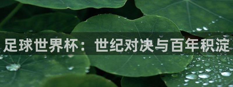 足球世界杯：世纪对决与百年积淀