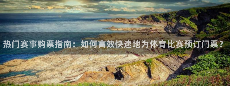 热门赛事购票指南：如何高效快速地为体育比赛预订门票？