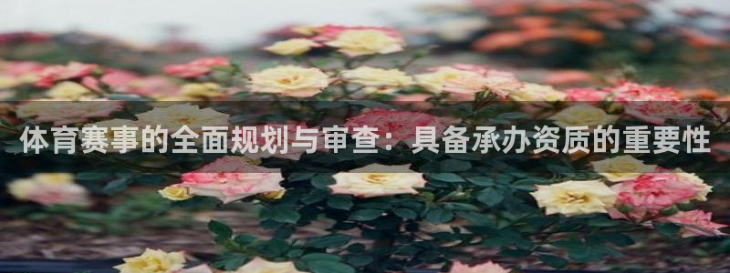 体育赛事的全面规划与审查：具备承办资质的重要性
