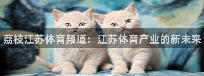 荔枝江苏体育频道：江苏体育产业的新未来