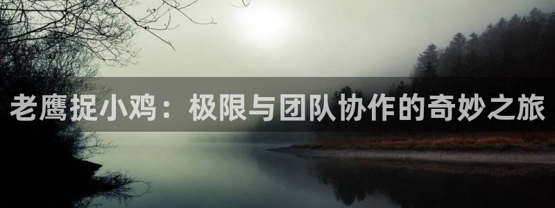 老鹰捉小鸡：极限与团队协作的奇妙之旅